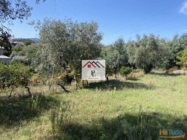 Terrenos Rustico V803PL | 26064060703