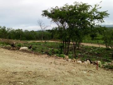 Terreno en San Miguel, Ocozocoautla de Espinosa, Chiapas