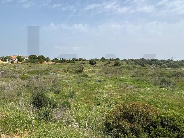 Terrenos Rústicos em Lagoa carvoeiro