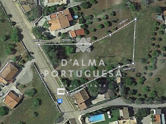 Terrenos São Brás de Alportel Algarve DS92508513