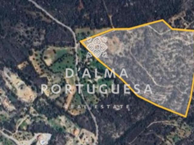 Terrenos São Brás de Alportel Algarve DS92745479