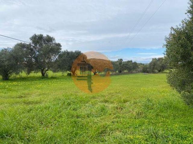 Terrenos São Brás de Alportel Faro DS96316190