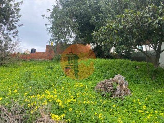 Terrenos São Brás de Alportel Faro DS96329023