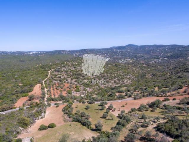 Terrenos São Brás de Alportel São Brás de Alportel 8150 DS82927929