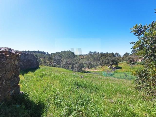 Terrenos São Brás de Alportel São Brás de Alportel 8150 040 DLS98685673