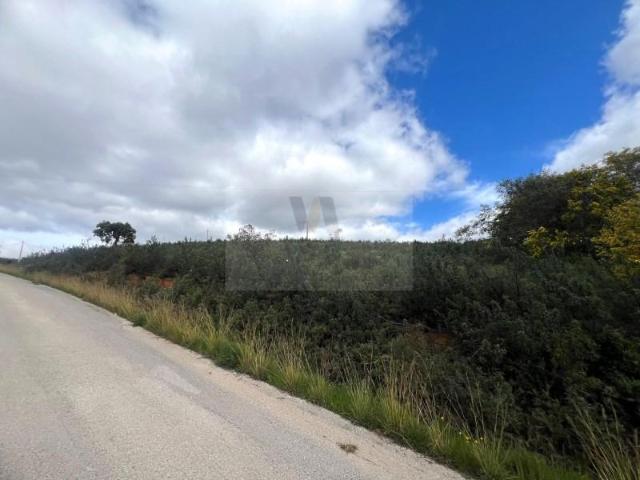 Terrenos São Brás de Alportel São Brás de Alportel DLS89004914