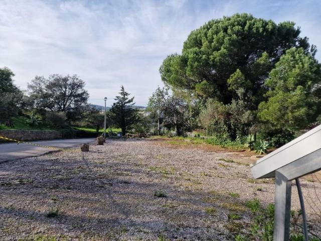Terrenos São Brás de Alportel São Brás de Alportel DLS99480059