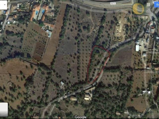 Terrenos São Brás de Alportel São Brás de Alportel DLS102305829