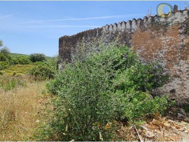Terrenos São Brás de Alportel São Brás de Alportel DLS102305834