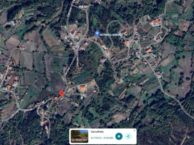 Terrenos São Pedro do Sul São Pedro do Sul DS98188371