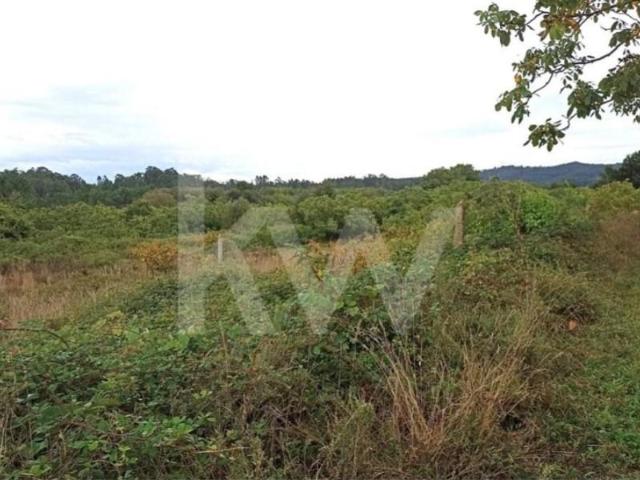 Terrenos São Pedro do Sul São Pedro do Sul DS101623649