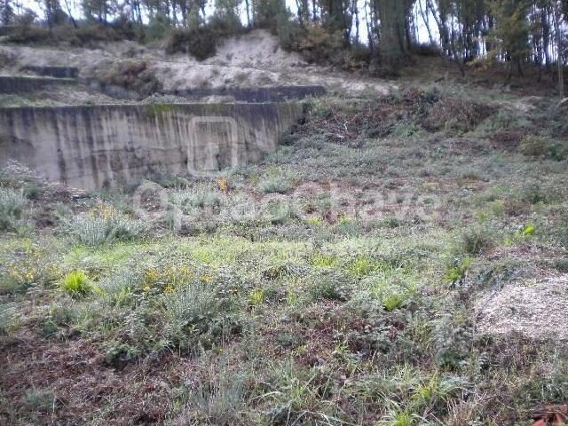 Terrenos São Pedro do Sul São Pedro do Sul DS102463173