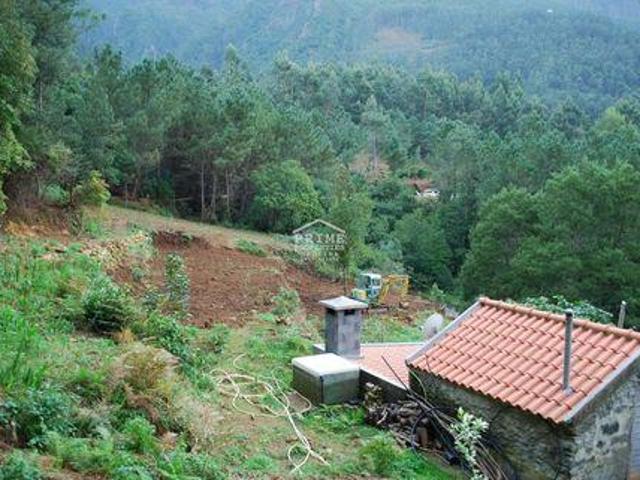 Terrenos São Vicente Ilha da Madeira DLS98263788