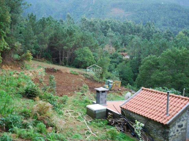 Terrenos São Vicente Ilha da Madeira DS98226483