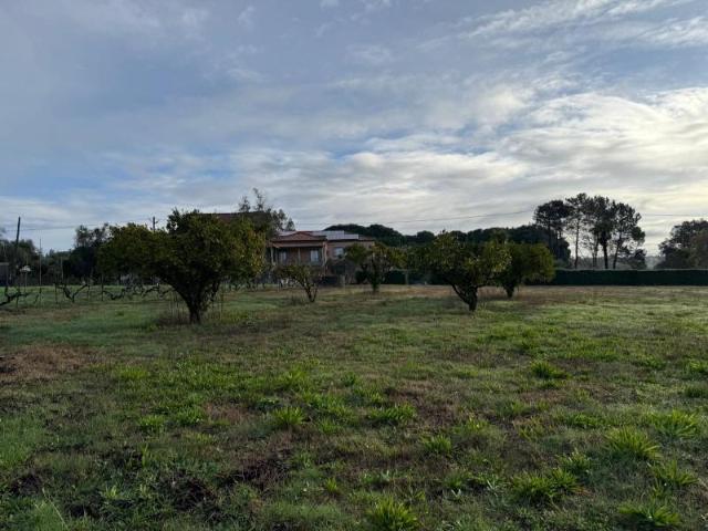 Terrenos Santa Comba Dão Santa Comba Dão DS97427249