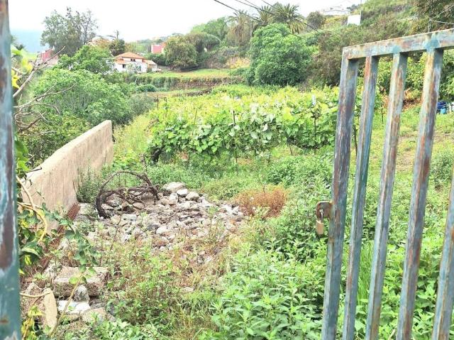 Terrenos Santa Cruz De Tenerife Canary Islands LS91130881