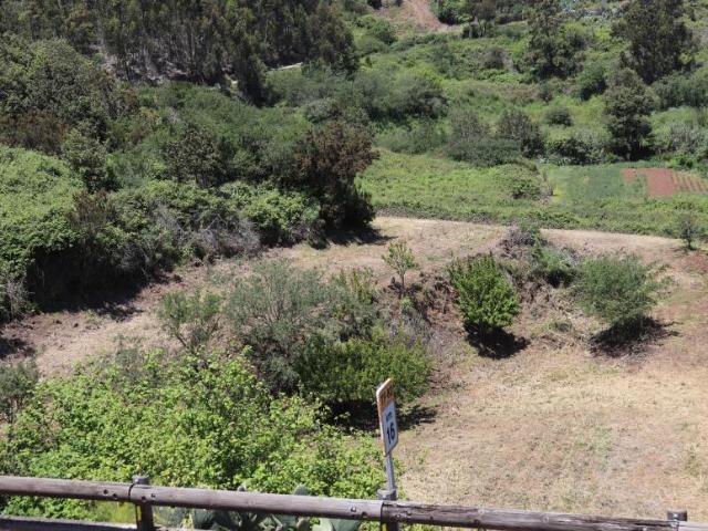 Terrenos Santa Cruz De Tenerife Canary Islands LS91317729