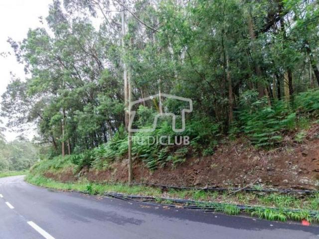 Terrenos Santa Cruz Ilha da Madeira DLS86681107