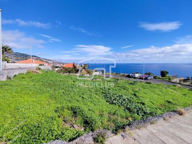 Terrenos Santa Cruz Ilha da Madeira DLS86681766