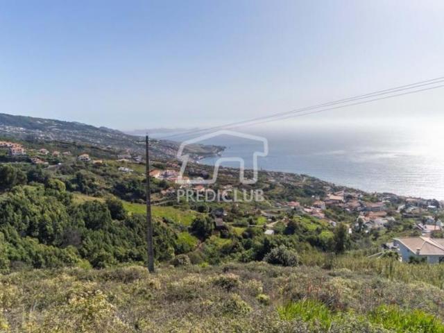 Terrenos Santa Cruz Ilha da Madeira DLS92224461