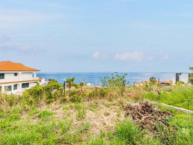 Terrenos Santa Cruz Ilha da Madeira DLS95875714