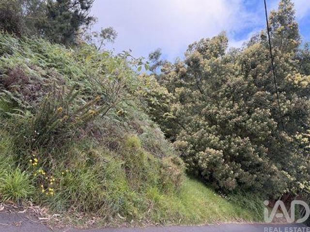 Terrenos Santa Cruz Ilha Da Madeira DLS101743037