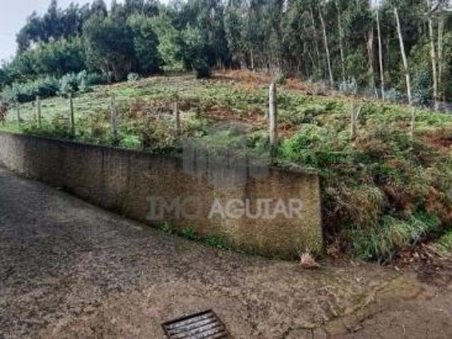 Terrenos Santa Cruz Ilha da Madeira DS86006736