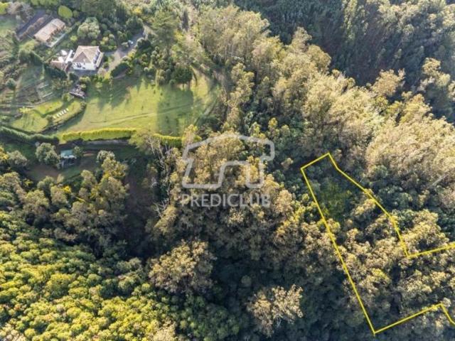 Terrenos Santa Cruz Ilha da Madeira DS86681074
