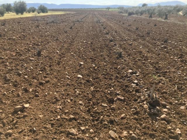 Terrenos Santa Marta Badajoz LS78112999