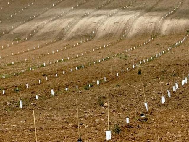 Terrenos Santa Marta Badajoz 101217835