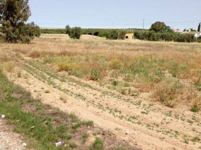 Terrenos Santa Marta Badajoz 78112861