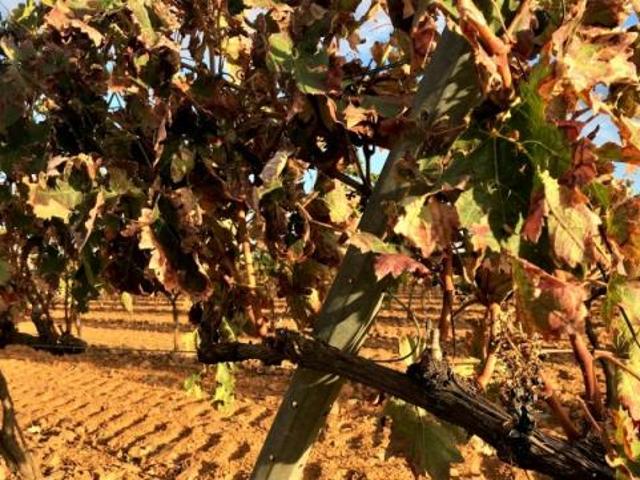 Terrenos Santa Marta Badajoz 78112992