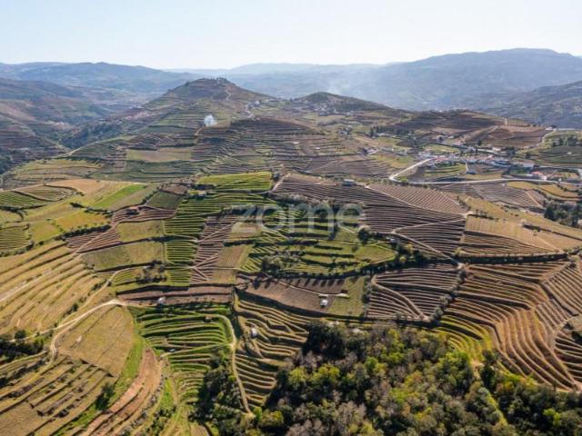 Terrenos Santa Marta de Penaguião Santa Marta de Penaguião DS89870599