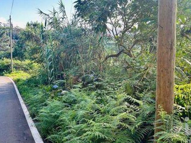 Terrenos Santana Ilha Da Madeira DLS94577675