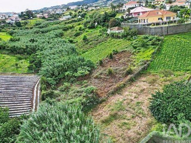 Terrenos Santana Ilha Da Madeira DLS98150471