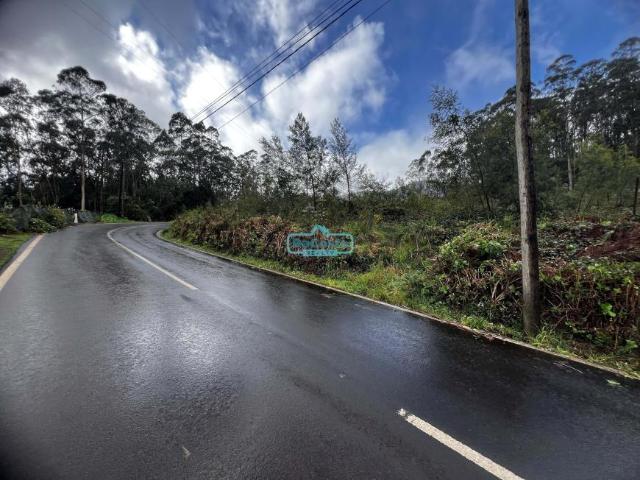 Terrenos Santana Ilha da Madeira DLS100307801