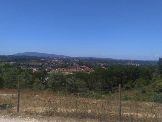 Terrenos Santarém Tomar 2305 DS98918404