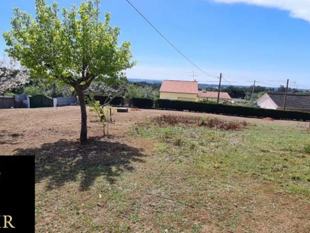 Terrenos Santarém Tomar 2305 DS98918510