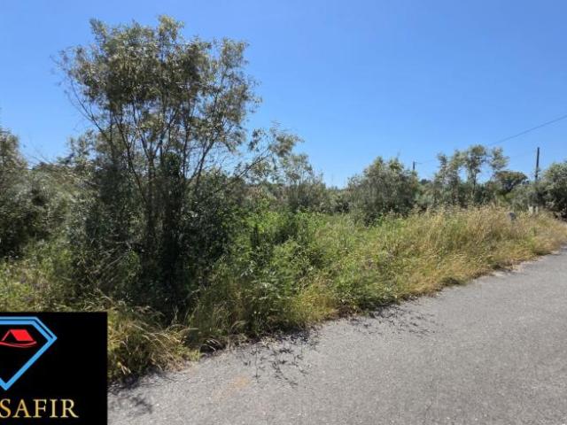 Terrenos Santarém Tomar 2305 DS98918558