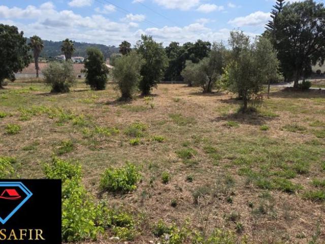 Terrenos Santarém Tomar 2300 DS98918582