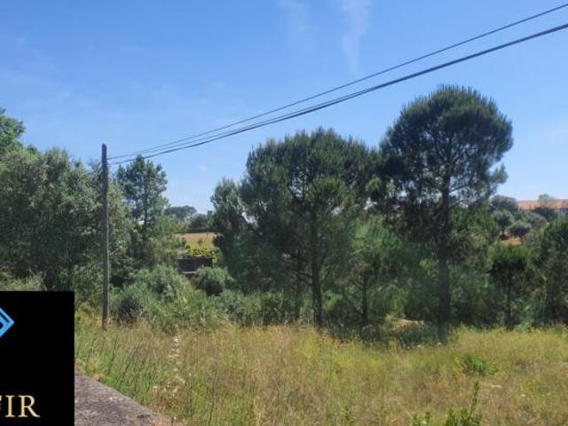 Terrenos Santarém Torres Novas 2350 DLS98918512