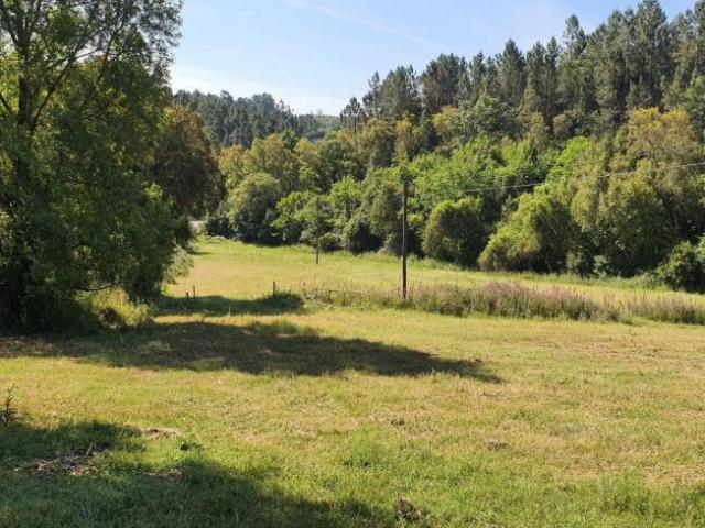 Terrenos Santarém Ferreira do Zêzere 2240 DLS98918382
