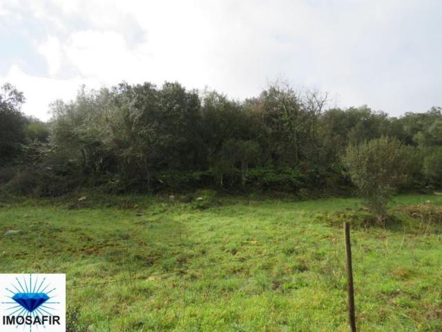 Terrenos Santarém Ferreira do Zêzere 2240 DLS98918398