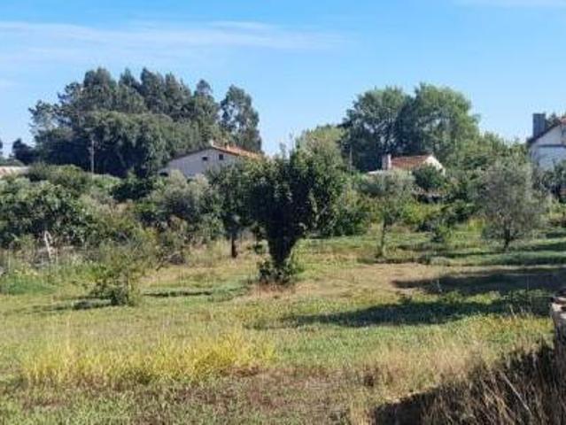 Terrenos Santarém Ferreira do Zêzere 2240 DLS98918441