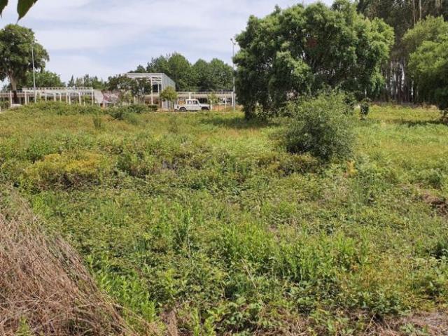 Terrenos Santarém Ferreira do Zêzere 2240 DLS98918458