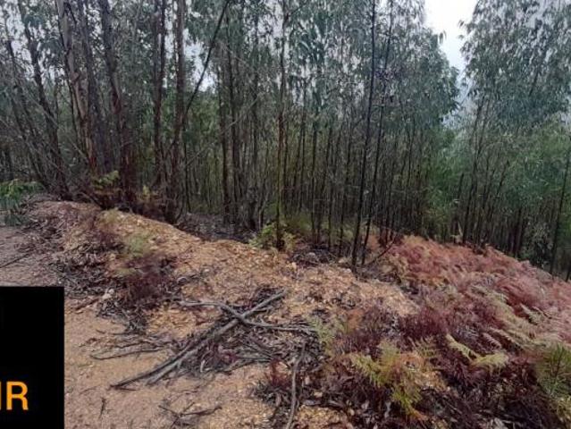 Terrenos Santarém Ferreira do Zêzere 2240 DLS98918478