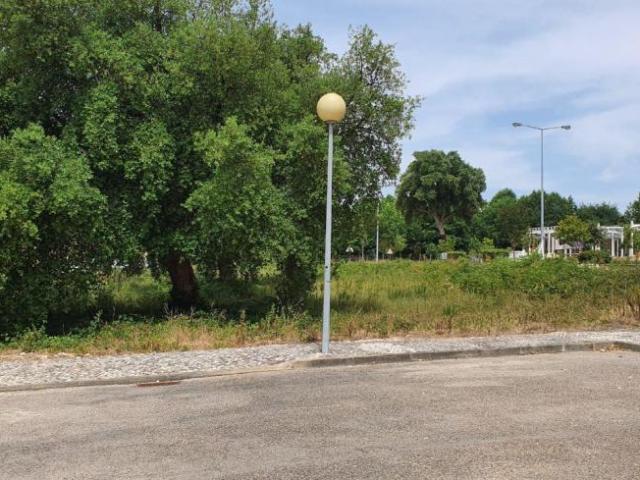 Terrenos Santarém Ferreira do Zêzere 2240 DLS98918427