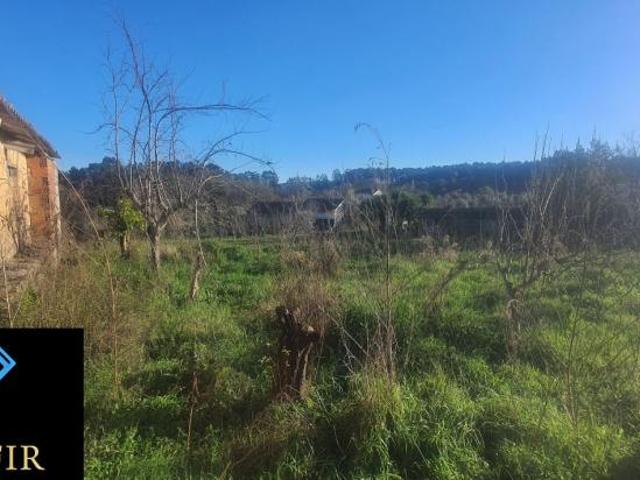 Terrenos Santarém Ferreira do Zêzere 2240 DLS98918544