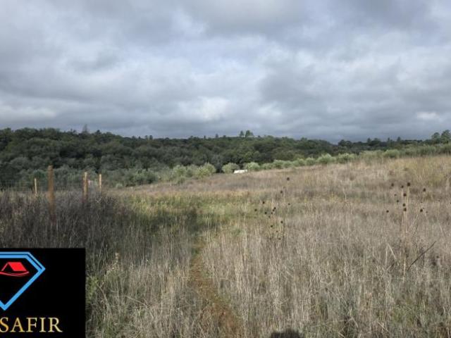 Terrenos Santarém Ferreira do Zêzere 2240 DLS98918594