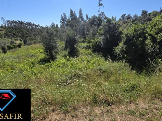 Terrenos Santarém Ferreira do Zêzere 2240 DS102845540
